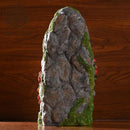 Imagem de Nossa Senhora de Lourdes