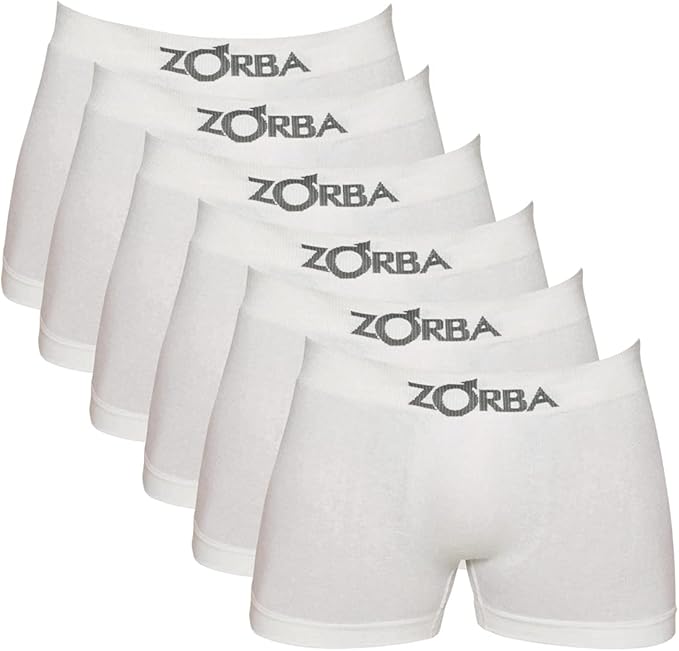 Kit 30 Cuecas Microfibra Sem Costura Original + Brinde 15 Pares de Meia